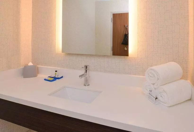 בית מלון כפרי Holiday Inn Express & Suites   Shreveport   Downtown, An Ihg