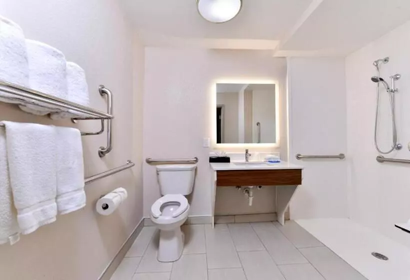 בית מלון כפרי Holiday Inn Express Winston Salem Medical Ctr Area