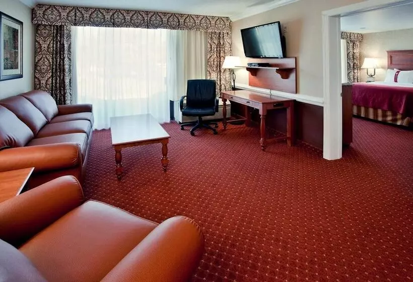 Otel Holiday Inn University-Blacksburg 