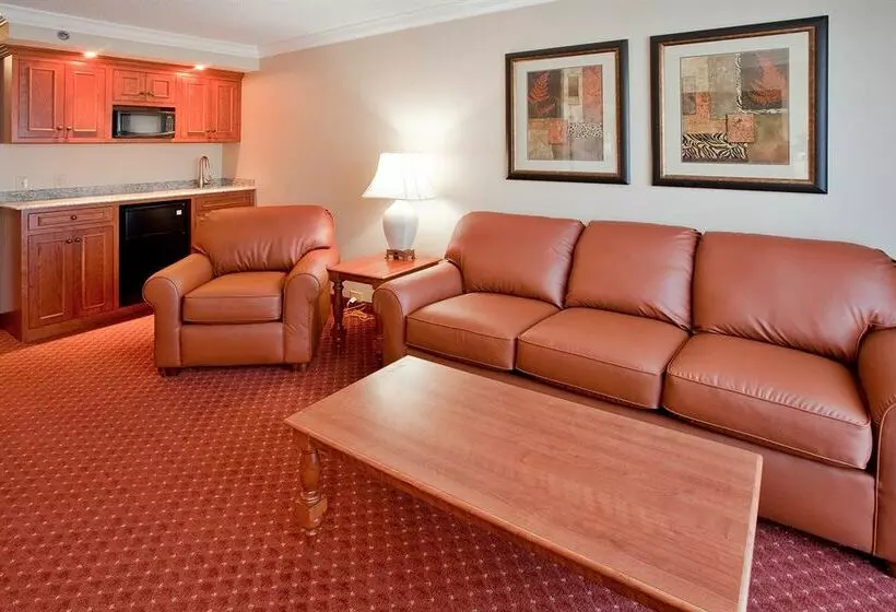 Otel Holiday Inn University-Blacksburg 