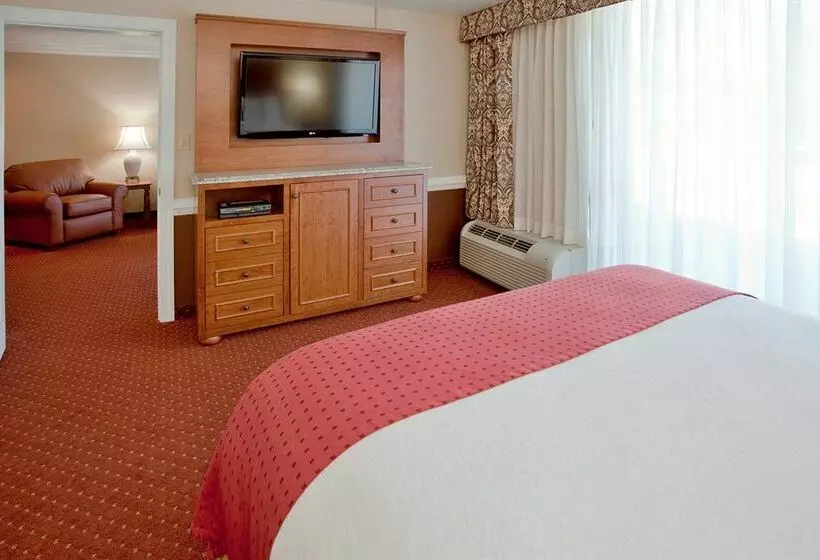 Otel Holiday Inn University-Blacksburg 
