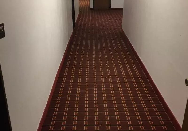 酒店 Luxury Inn & Suites