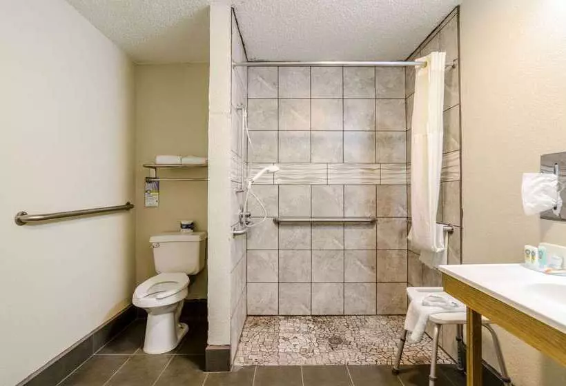 ホテル Quality Inn South