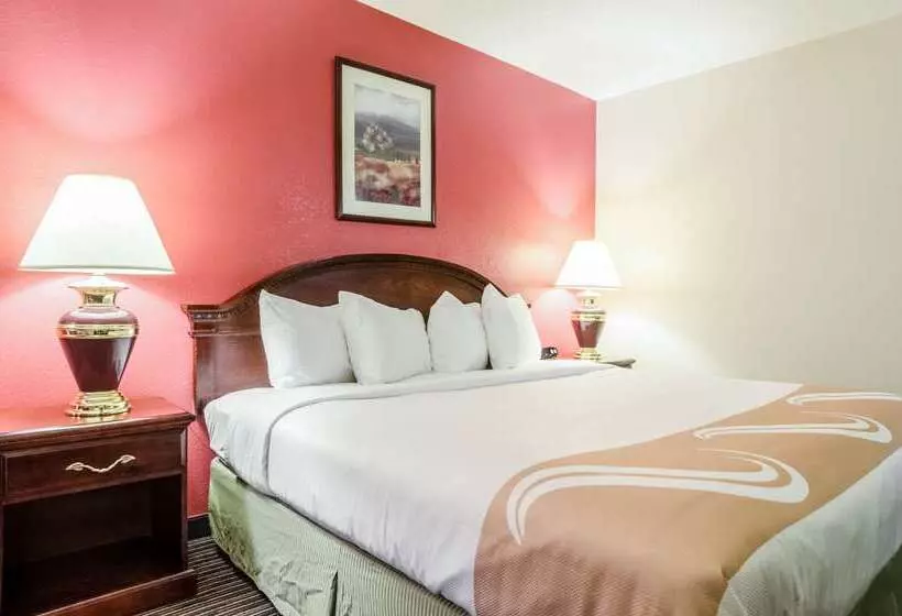 ホテル Quality Inn South