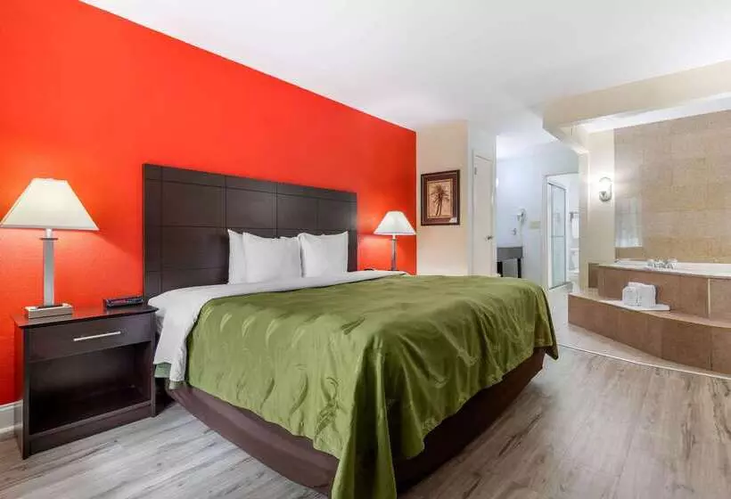 Отель Quality Inn & Suites