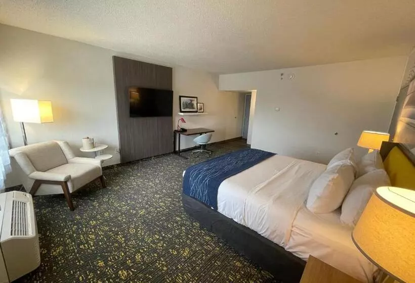 فندق Saint Louis Airport