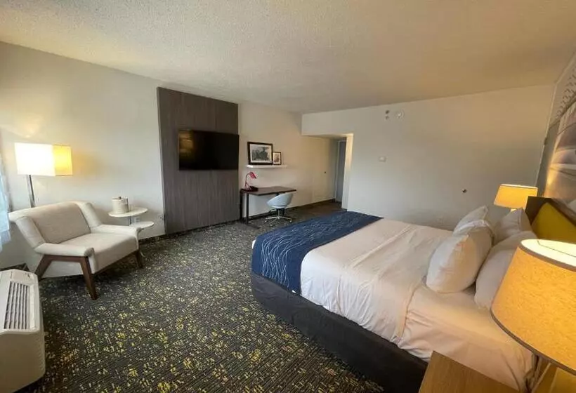 فندق Saint Louis Airport