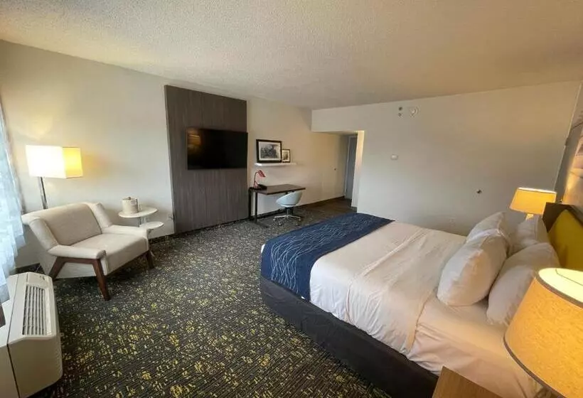 فندق Saint Louis Airport