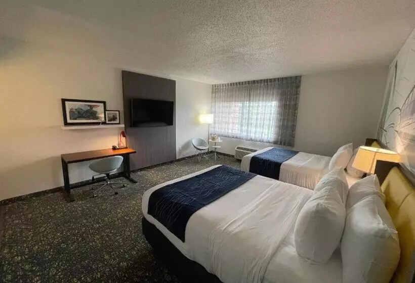 فندق Saint Louis Airport