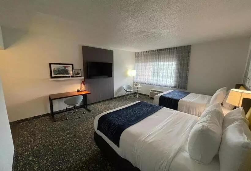 فندق Saint Louis Airport