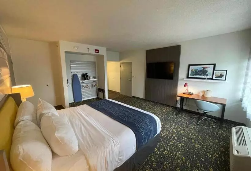 فندق Saint Louis Airport