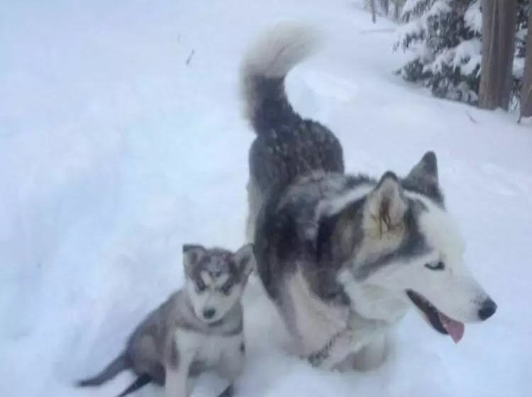 Cortina Inn & Resort