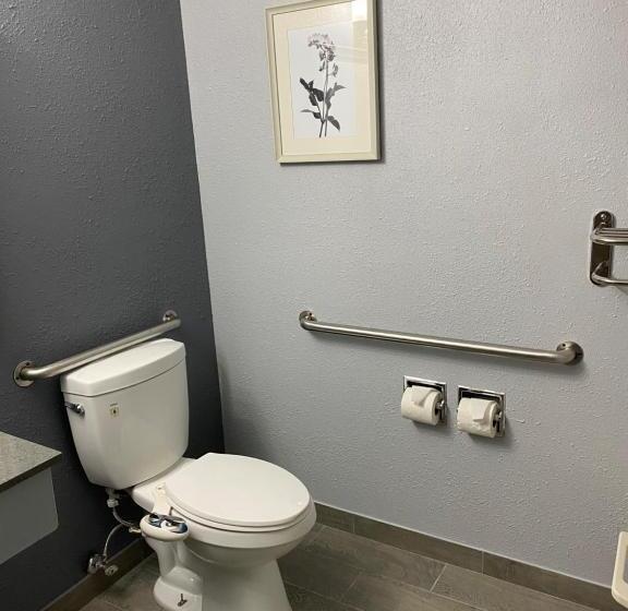 فندق American Inn Cedar Rapids South