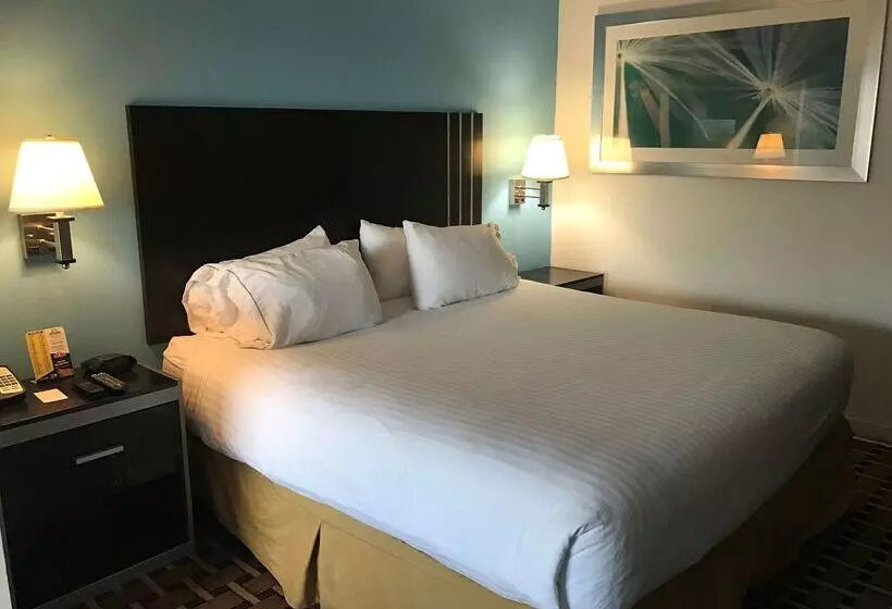 酒店 Americas Best Value Inn & Suites Sumter