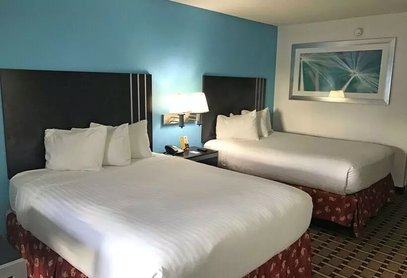 酒店 Americas Best Value Inn & Suites Sumter
