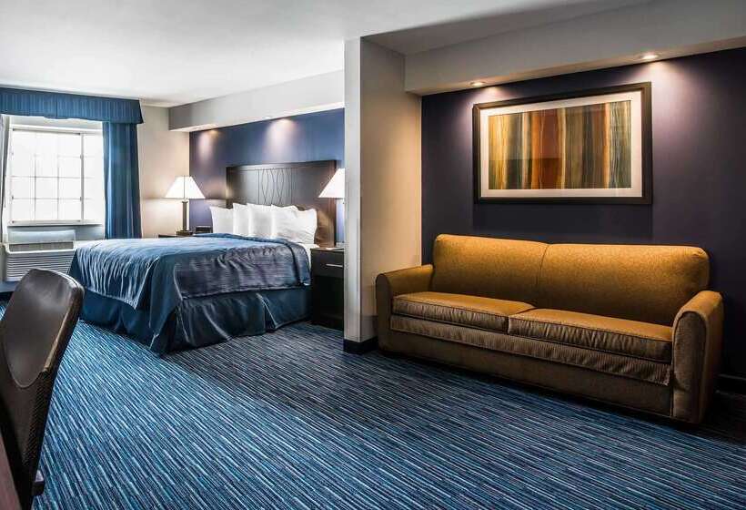 Otel Clarion Pointe Downtown