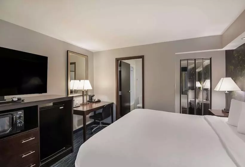 호텔 Clarion Pointe Downtown