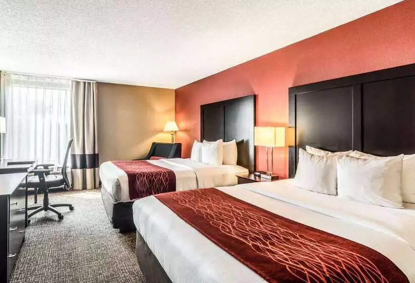 Otel Comfort Inn Convention Centerchicago O Hare Airport