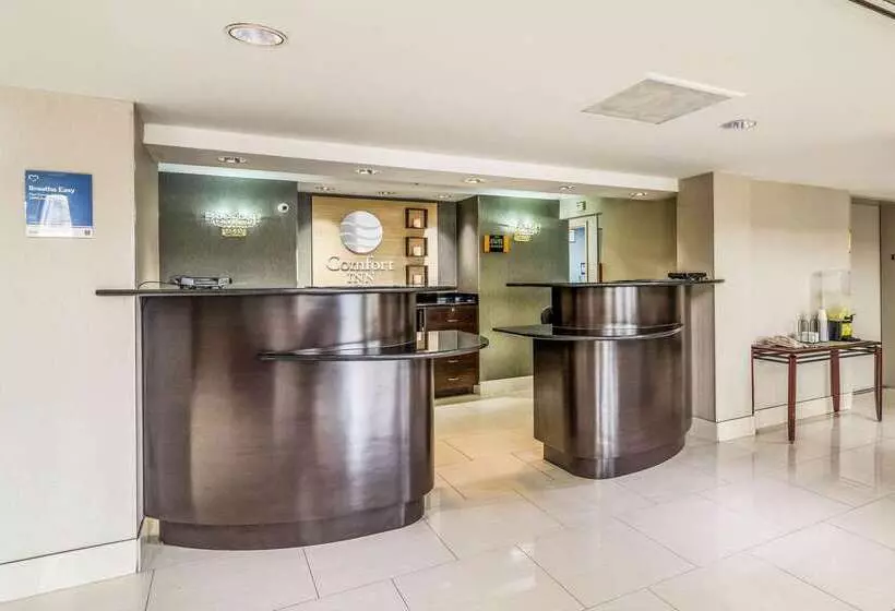 Otel Comfort Inn Convention Centerchicago O Hare Airport