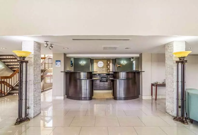 Otel Comfort Inn Convention Centerchicago O Hare Airport