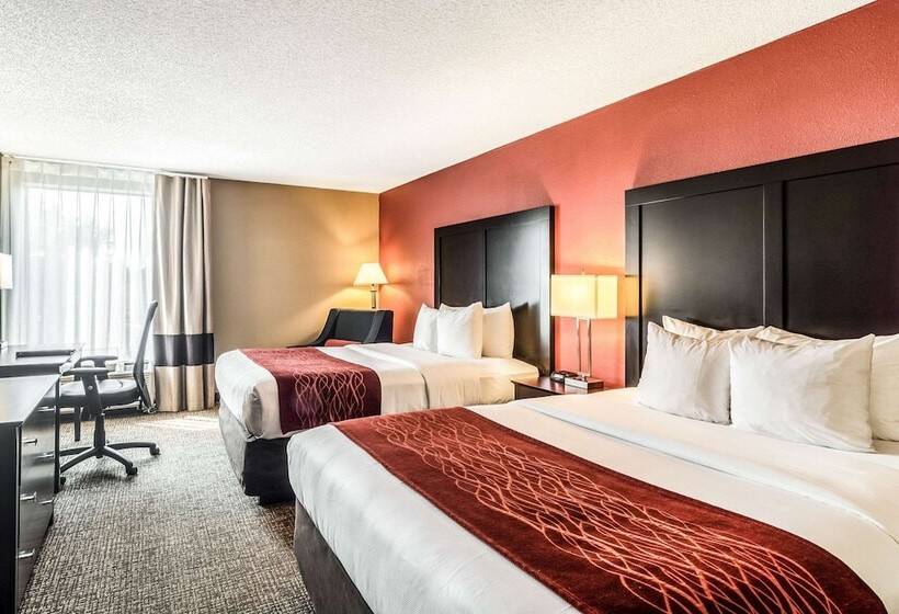 בית מלון כפרי Comfort Inn Convention Centerchicago O Hare Airport