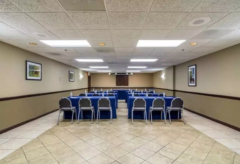 Otel Comfort Inn Convention Centerchicago O Hare Airport