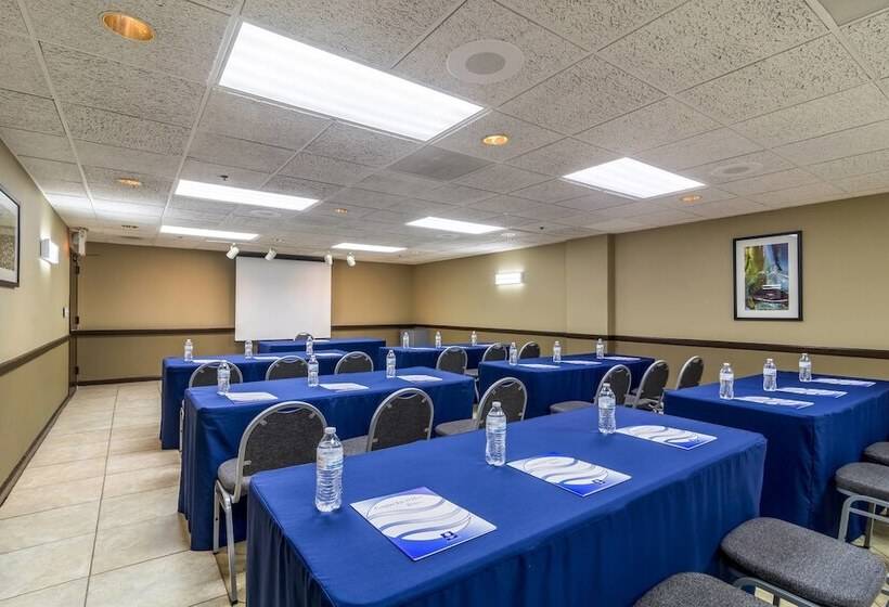 בית מלון כפרי Comfort Inn Convention Centerchicago O Hare Airport