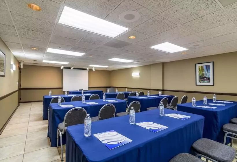 Otel Comfort Inn Convention Centerchicago O Hare Airport