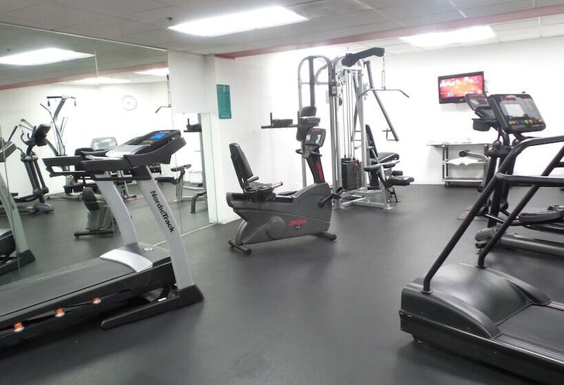 בית מלון כפרי Comfort Inn Convention Centerchicago O Hare Airport