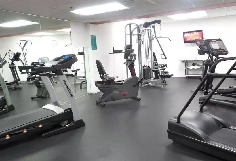 Otel Comfort Inn Convention Centerchicago O Hare Airport