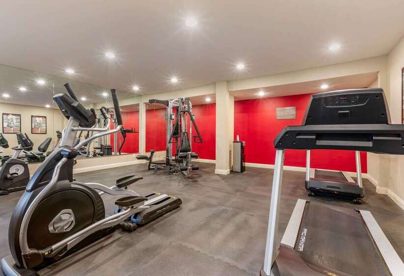 Отель Comfort Inn & Suites Orange County John Wayne Airport