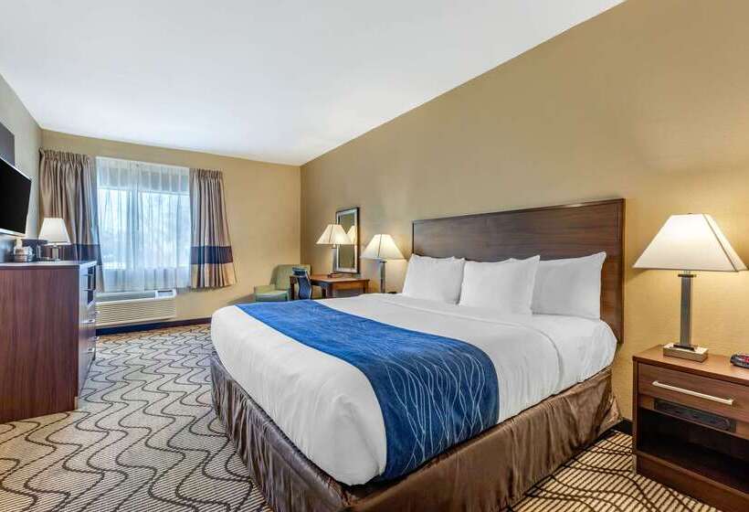Отель Comfort Inn & Suites Orange County John Wayne Airport