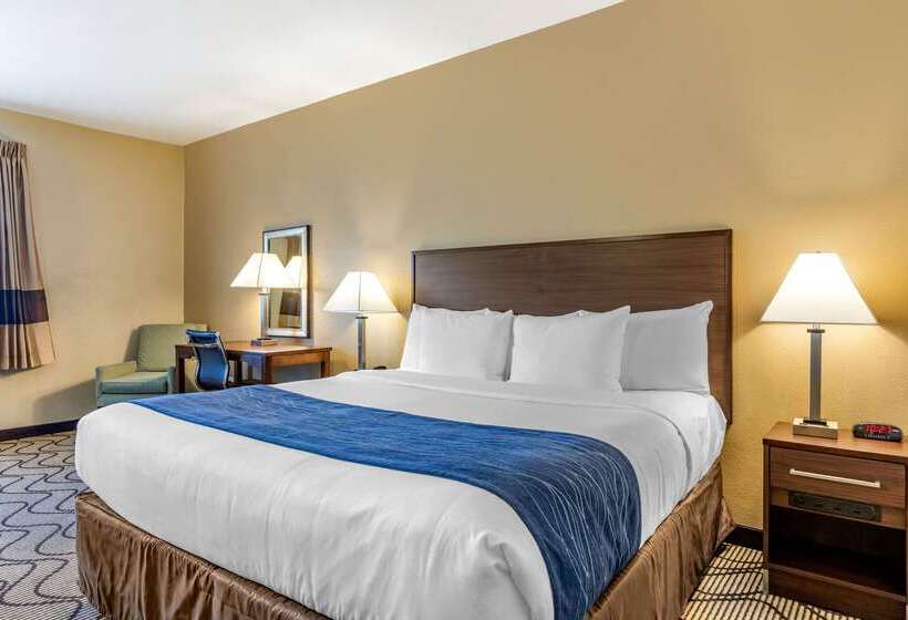 Отель Comfort Inn & Suites Orange County John Wayne Airport