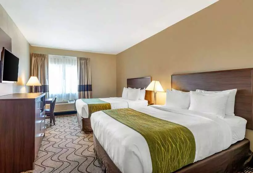 فندق Comfort Inn & Suites Orange County John Wayne Airport