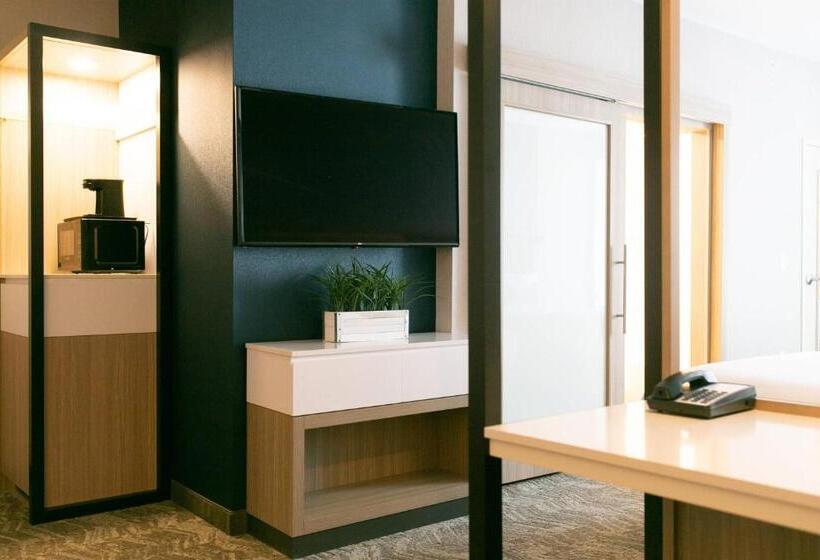 فندق Springhill Suites By Marriott South Bend Notre Dame Area