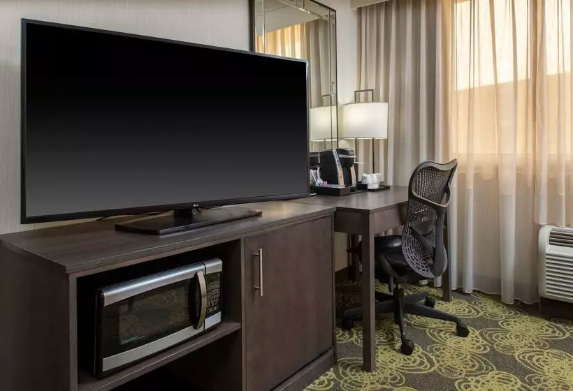 Hotel Hilton Garden Inn Reagan National Airport