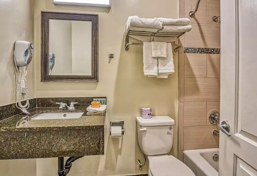 هتل Hollywood City Inn