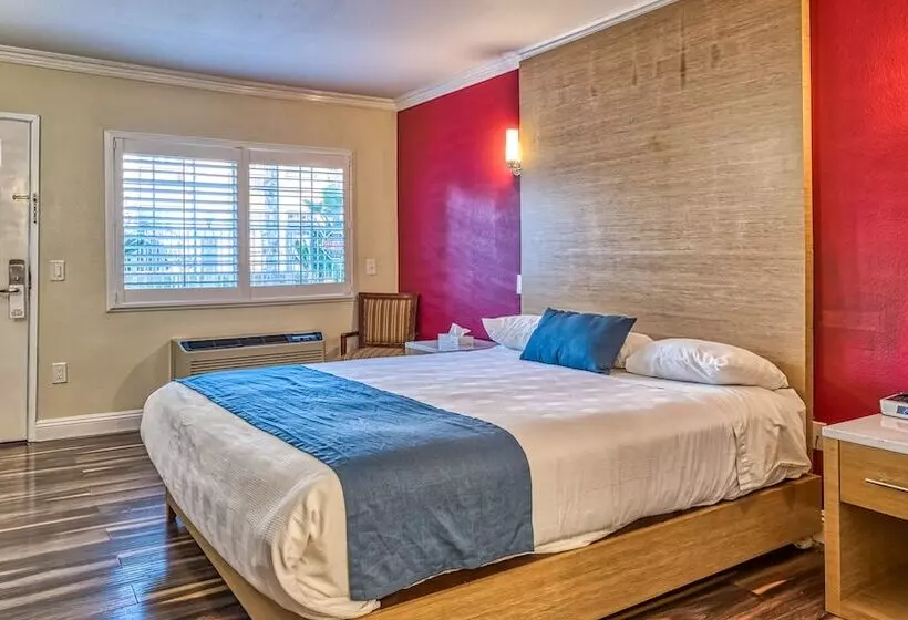 هتل Hollywood City Inn