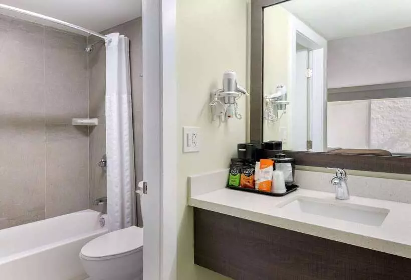 Szálloda Quality Inn University North I75