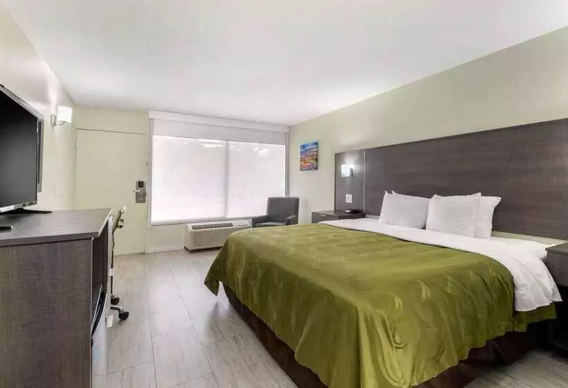 Szálloda Quality Inn University North I75