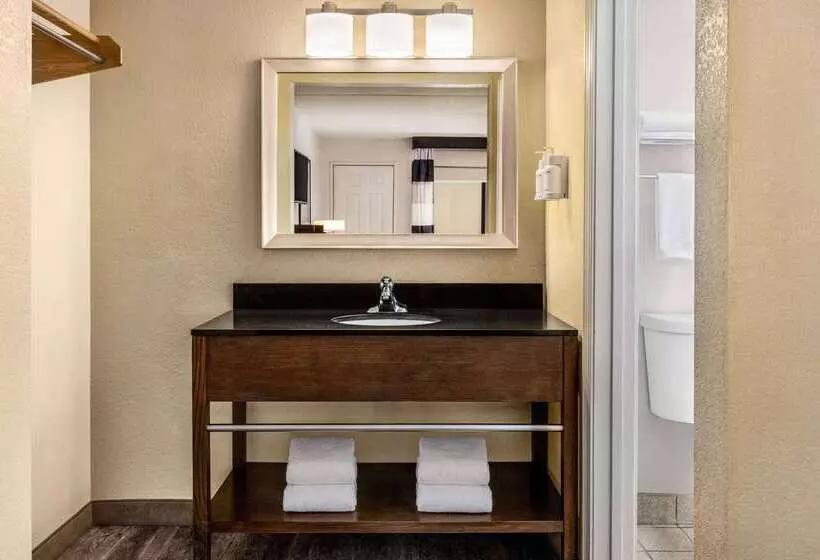 Отель Ramada By Wyndham Albuquerque Airport