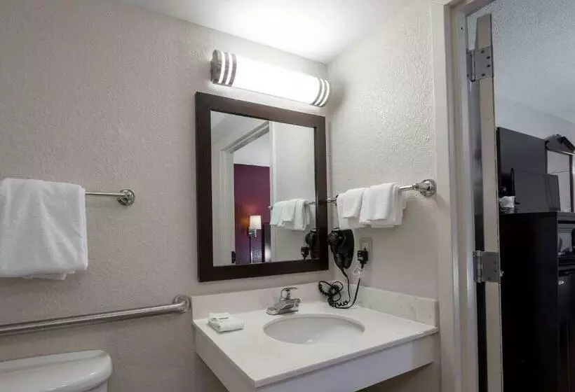 酒店 Red Roof Inn Washington Dc  College Park