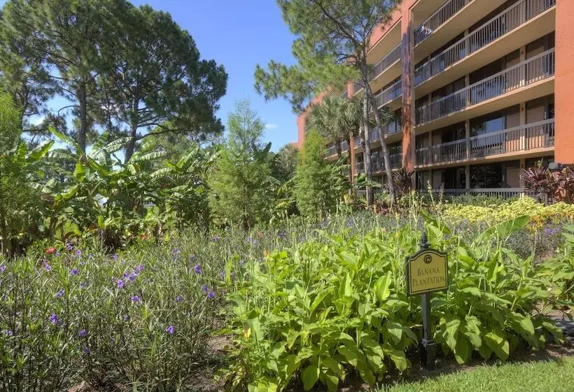 酒店 Rosen Inn Lake Buena Vista