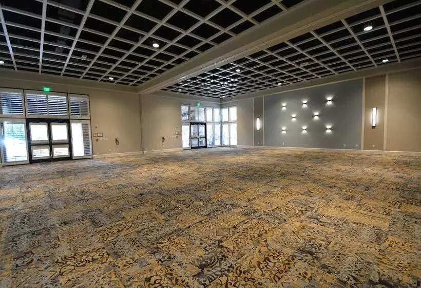 酒店 Rosen Inn Lake Buena Vista