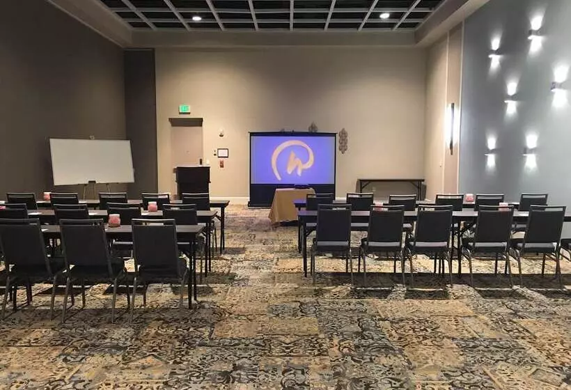 酒店 Rosen Inn Lake Buena Vista