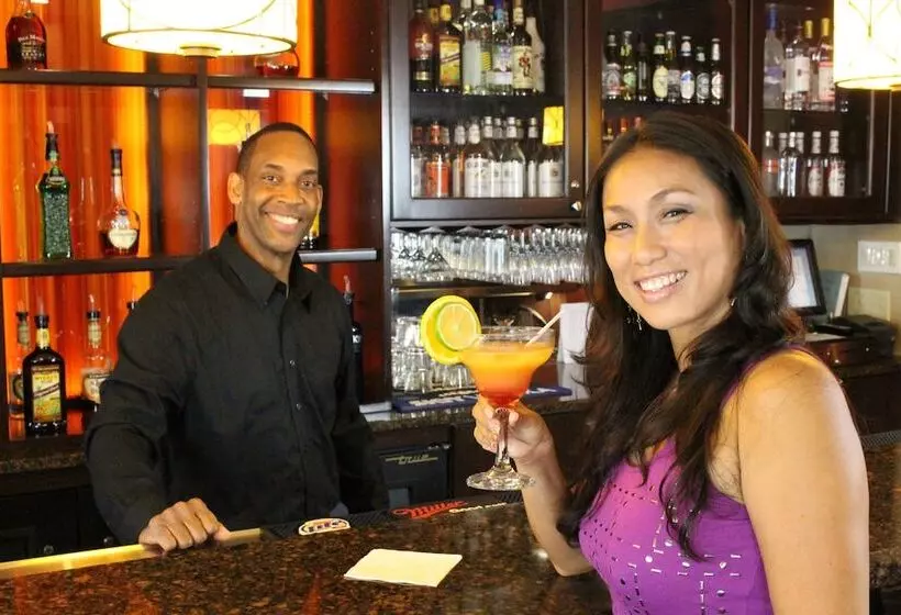 酒店 Rosen Inn Lake Buena Vista