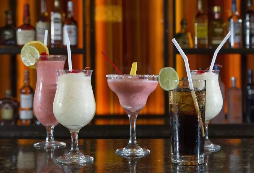 酒店 Rosen Inn Lake Buena Vista