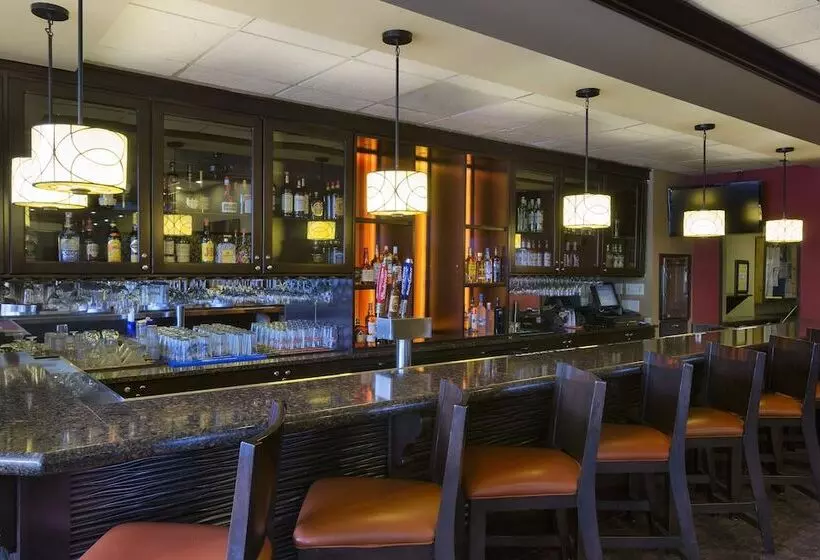 酒店 Rosen Inn Lake Buena Vista