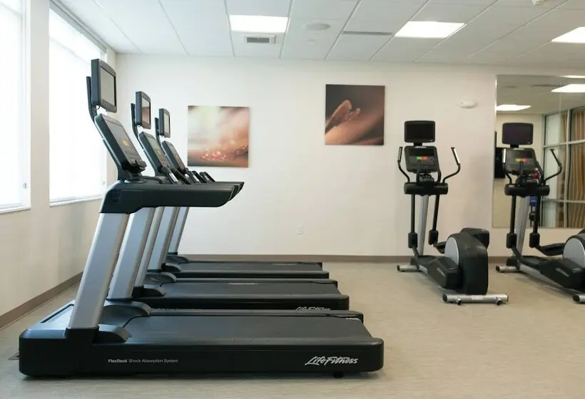 ホテル Springhill Suites By Marriott South Bend Notre Dame Area