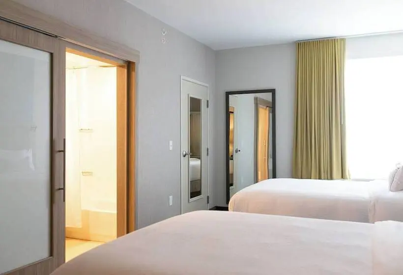 ホテル Springhill Suites By Marriott South Bend Notre Dame Area